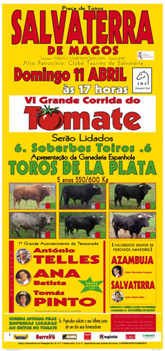 Salvaterra de Magos