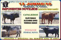 Pinhal Novo