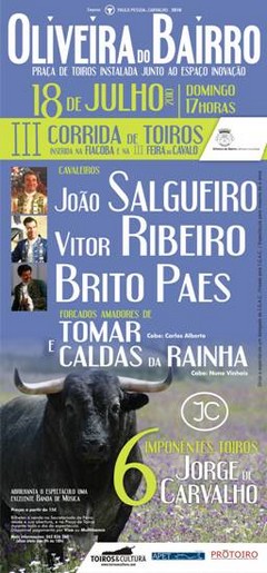 Oliveira do Bairro