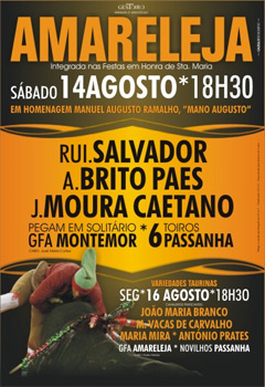 Amareleja