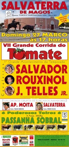 Salvaterra de Magos