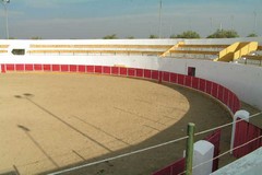 Alpalhão