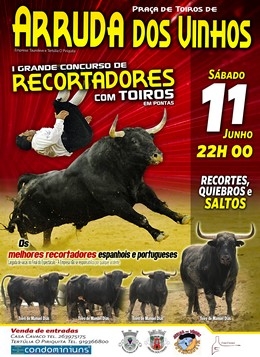 Arruda dos Vinhos